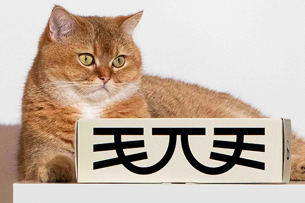 山東特產包裝如何設計？