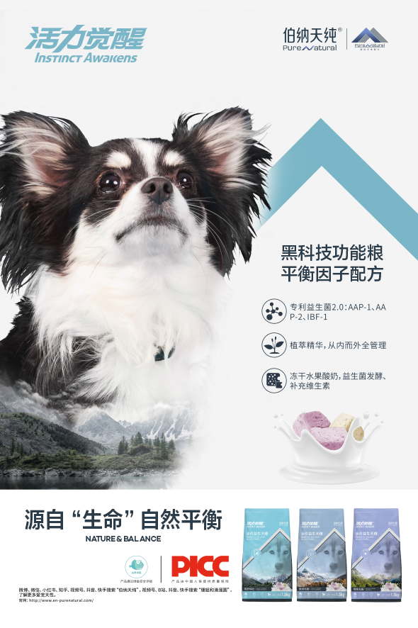 伯納天純