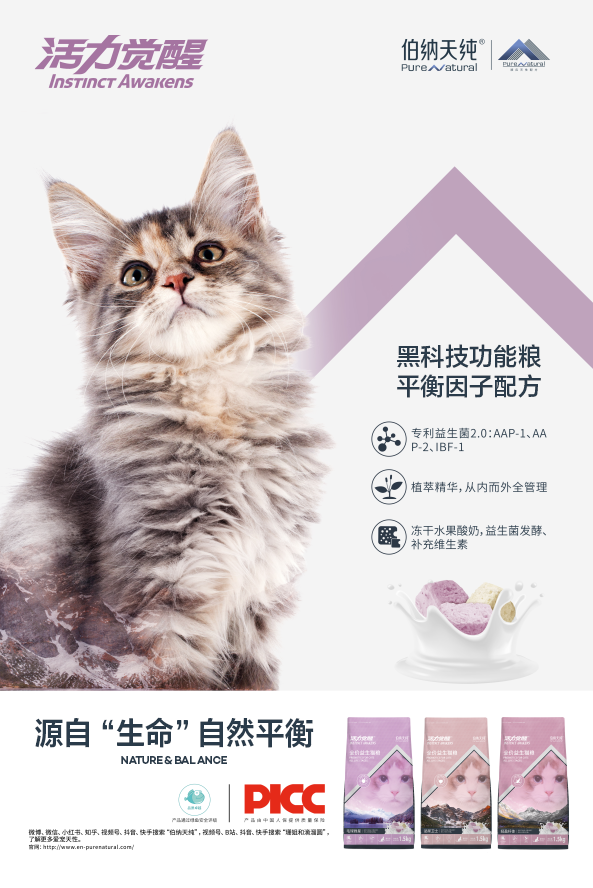 伯納天純